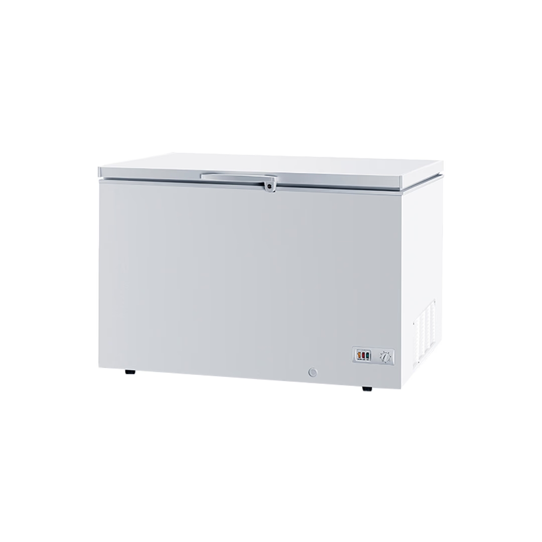 Камера морозильна (скриня) ESSIN (BD550)